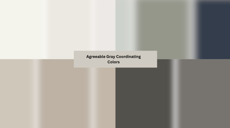 Agreeable Gray Coordinating Colors- 11 Best Picks
