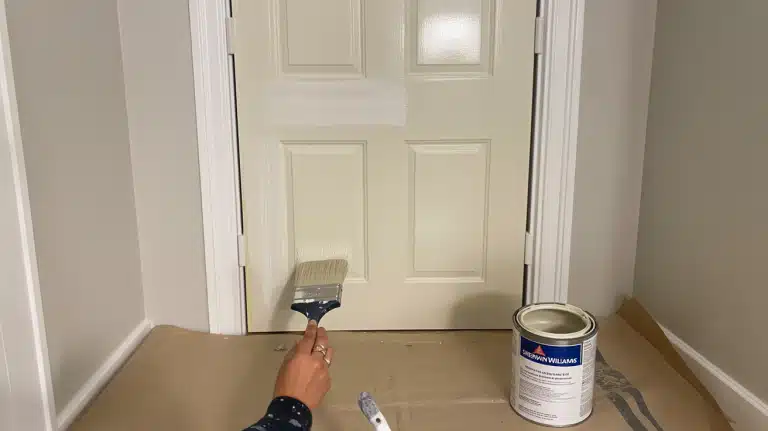 Paint Doors Like a Pro: Step by Step Tips