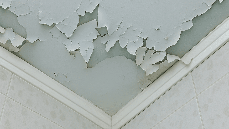 Peeling Ceiling Cracks