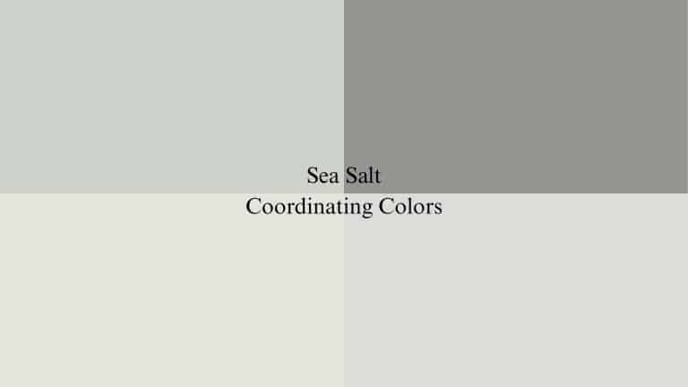 What Colors Coordinate with Sherwin Williams Sea Salt?