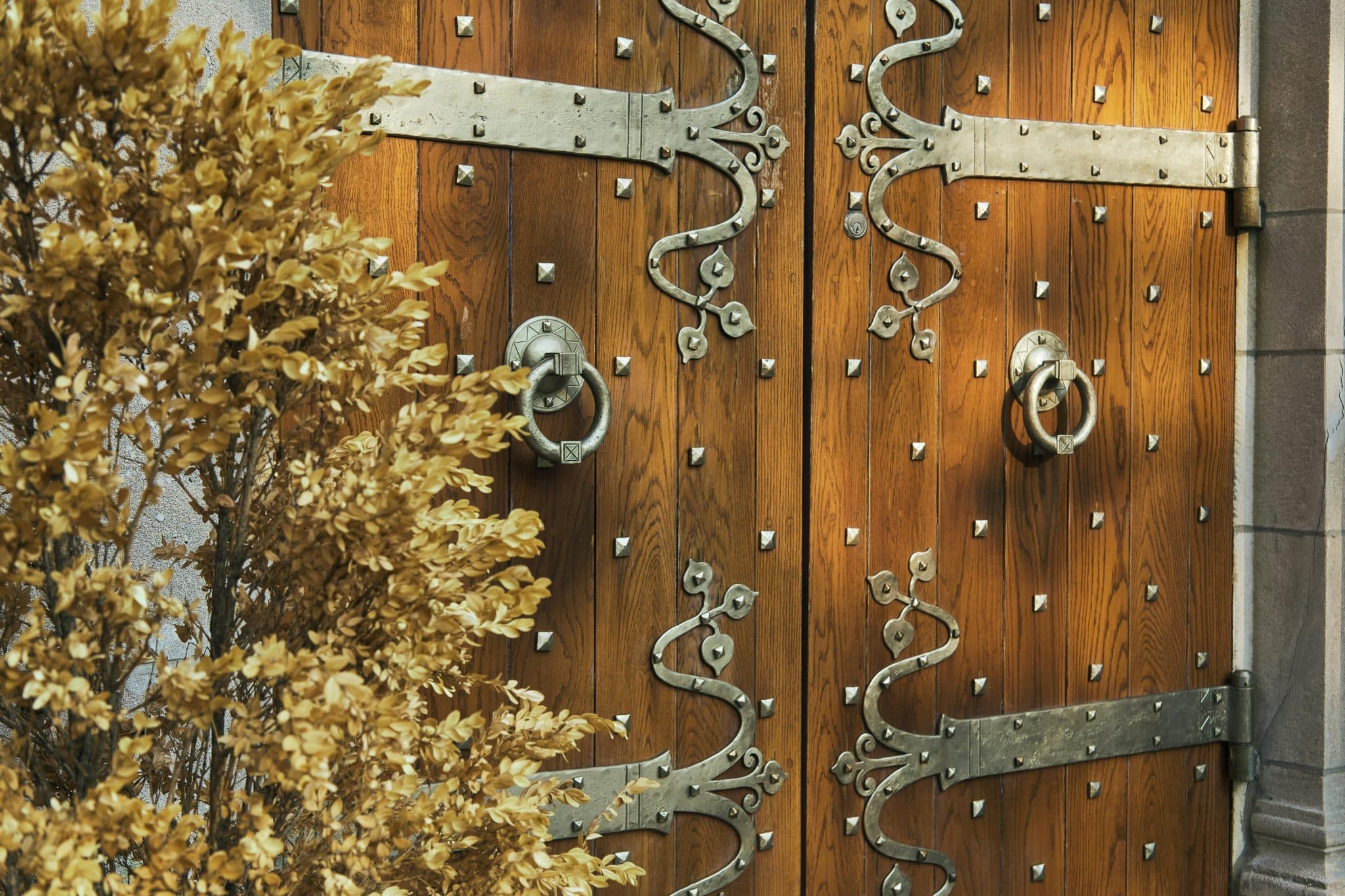 Flush Doors and Concealed Hinges