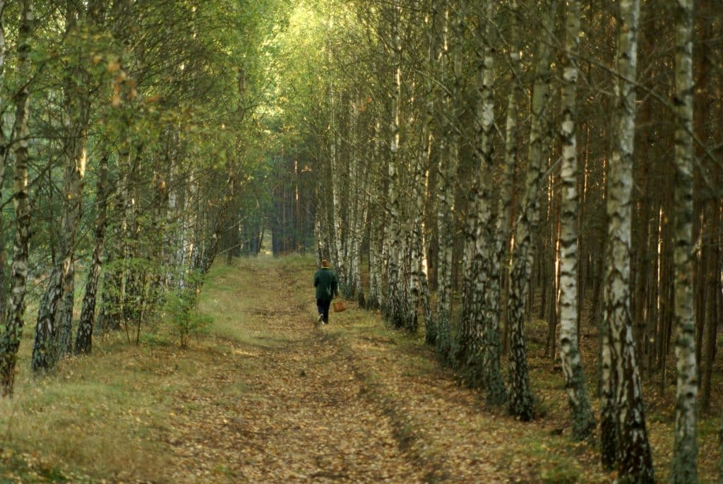 Montana Through the Seasons – Picking the Perfect Time for Your Trip