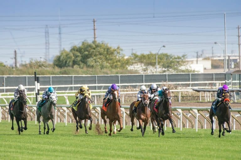 Prestigious Horse Racing Events Around the World