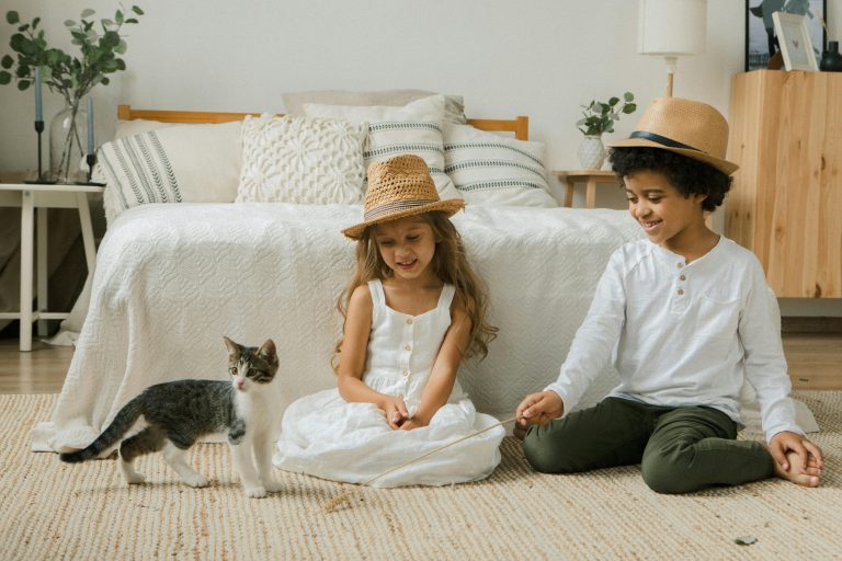 Small Tweaks That Keep Pet Homes Clean Without Losing Their Warmth