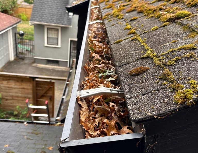 DIY vs. Professional Gutter Cleaning in Vancouver, WA: What’s Best for You?