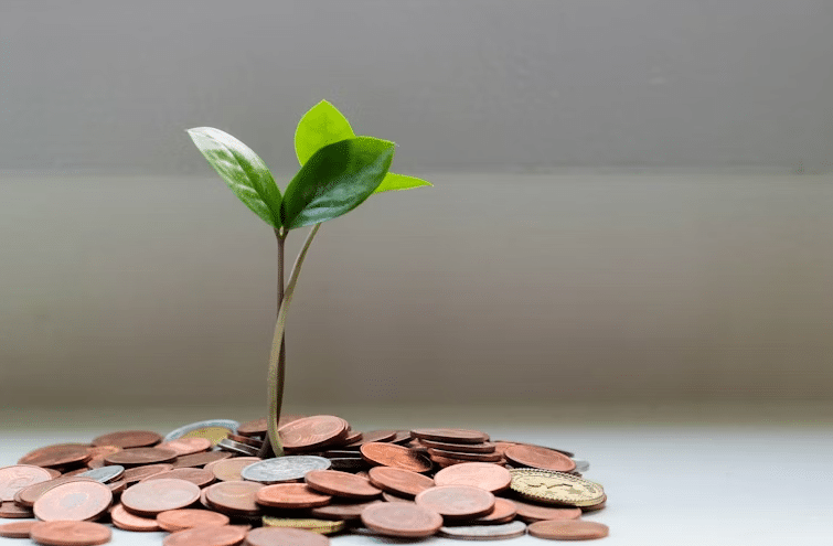 Why Financial Freedom Feels Better Than Any Vacation