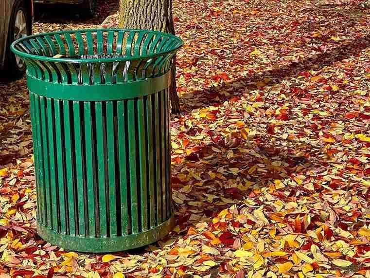 A green trash can stands on a sidewalk covered with vibrant red and yellow autumn leaves