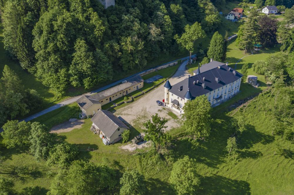 Essential Questions to Ask Before Buying Property with Acreage