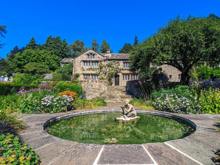 Everything You Need to Know About Pond Liners