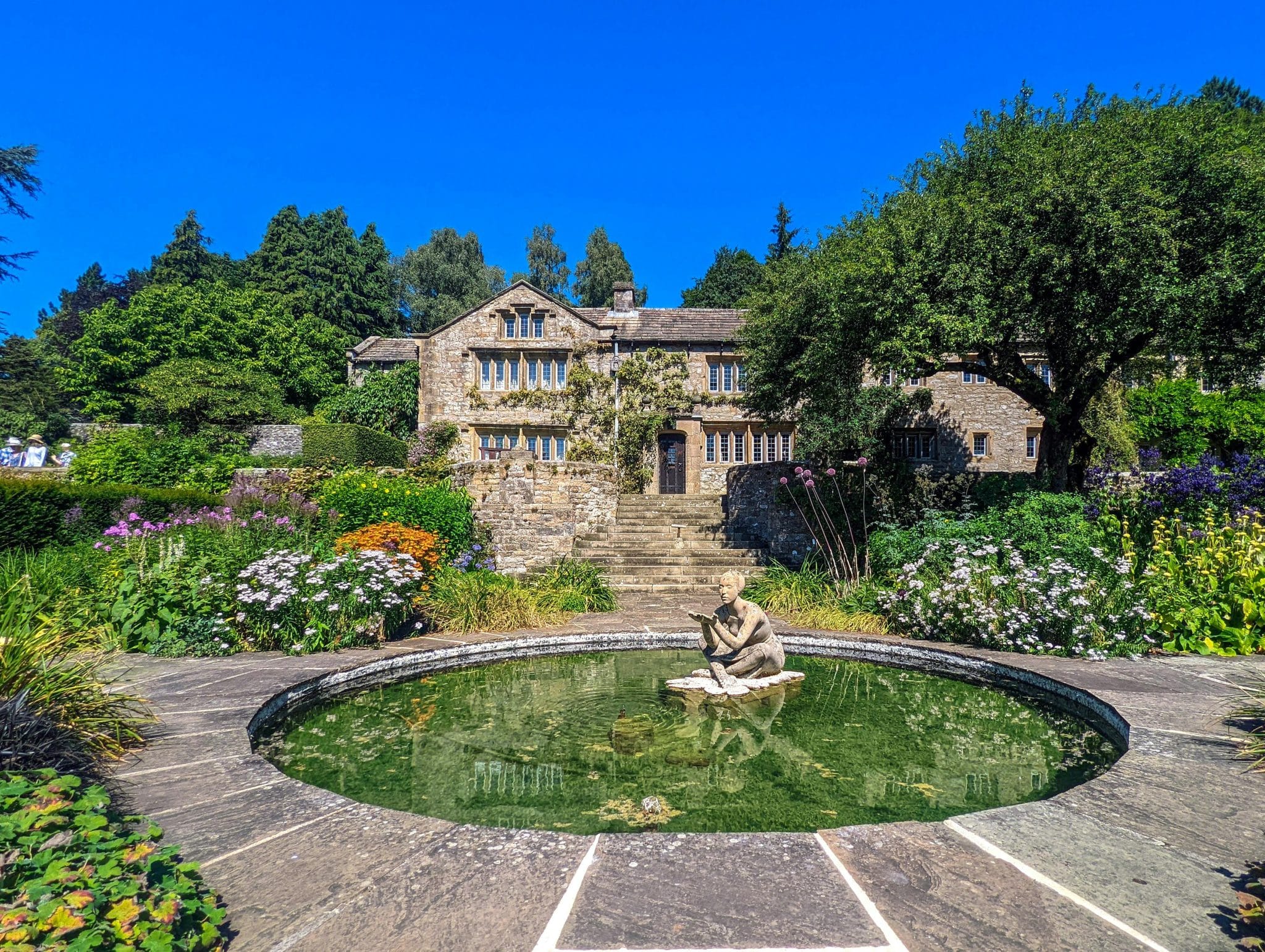 Everything You Need to Know About Pond Liners