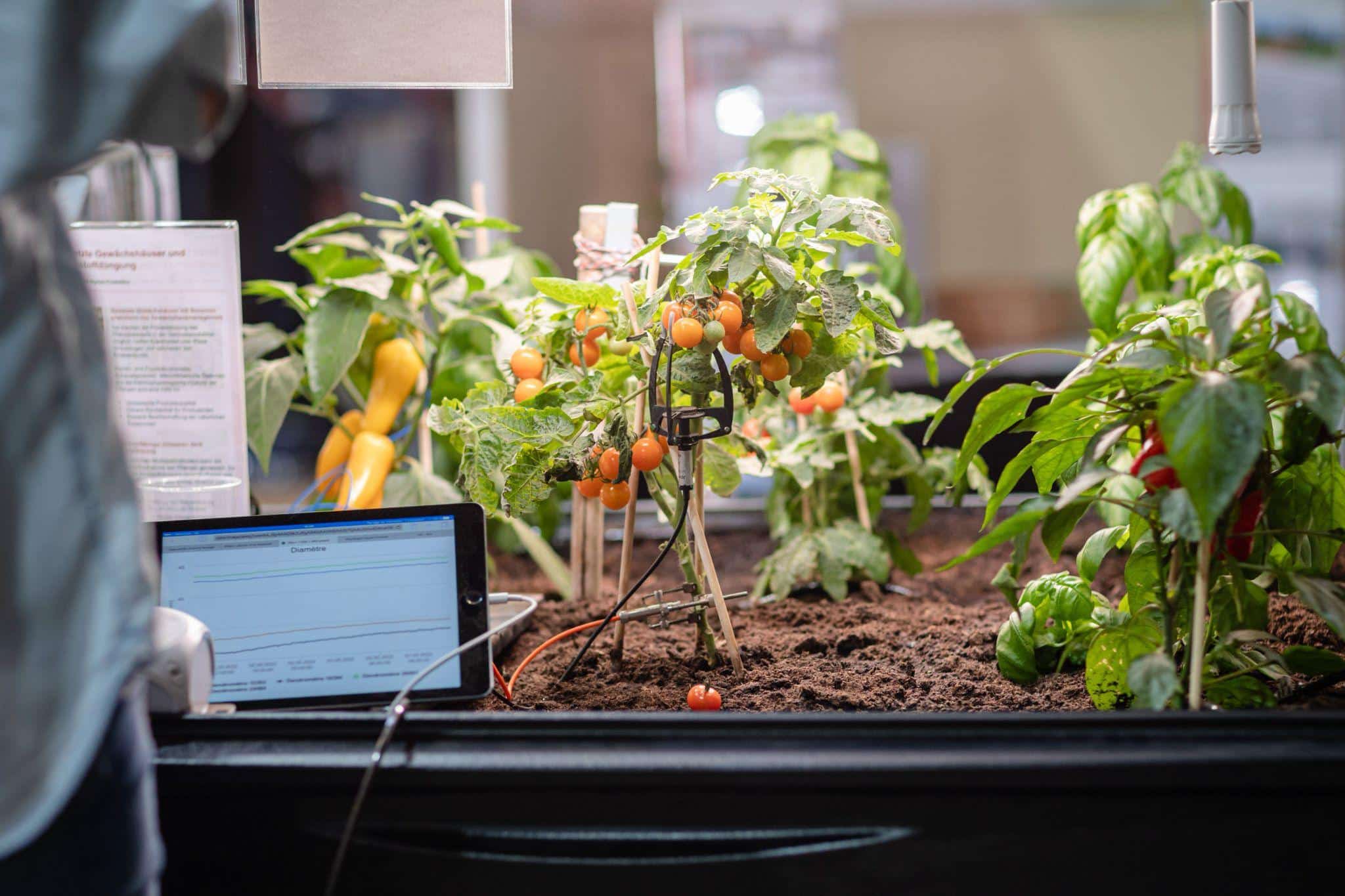 Automatic Indoor Garden
