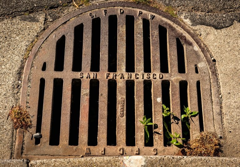 Why Early Action Matters for Blocked Drains in Essex