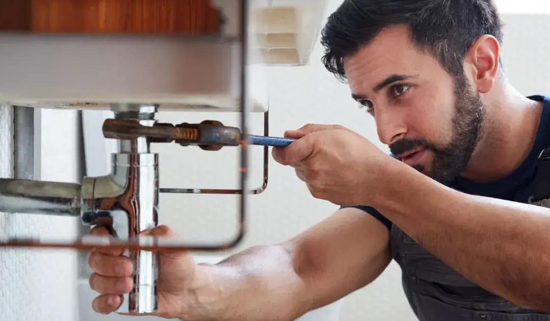 C:\Work\QGP NEW19.jpg