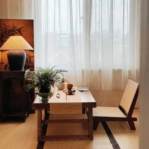 Cozy room with low wooden table, woven chair, and potted plants near sheer curtained window