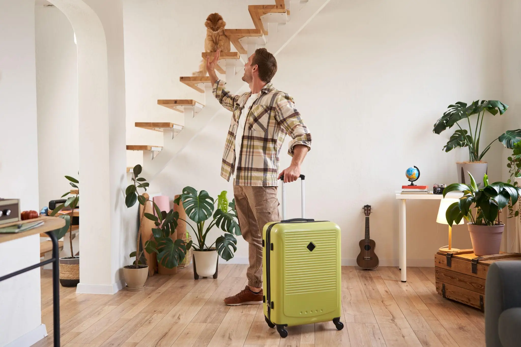 Man with rolling suitcase waving to cat on staircase in cozy living room with plants