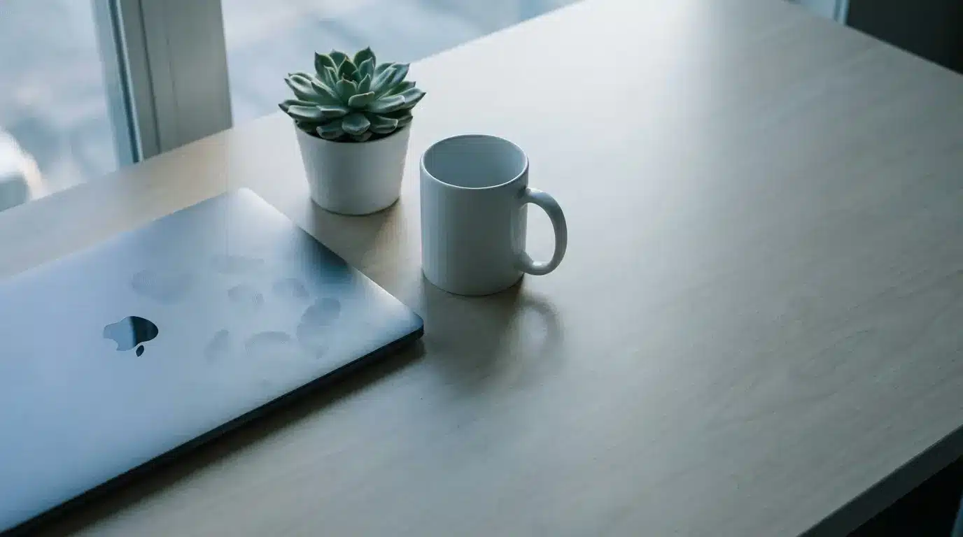 Laptop, potted succulent, and white mug on light wood desk in natural daylight