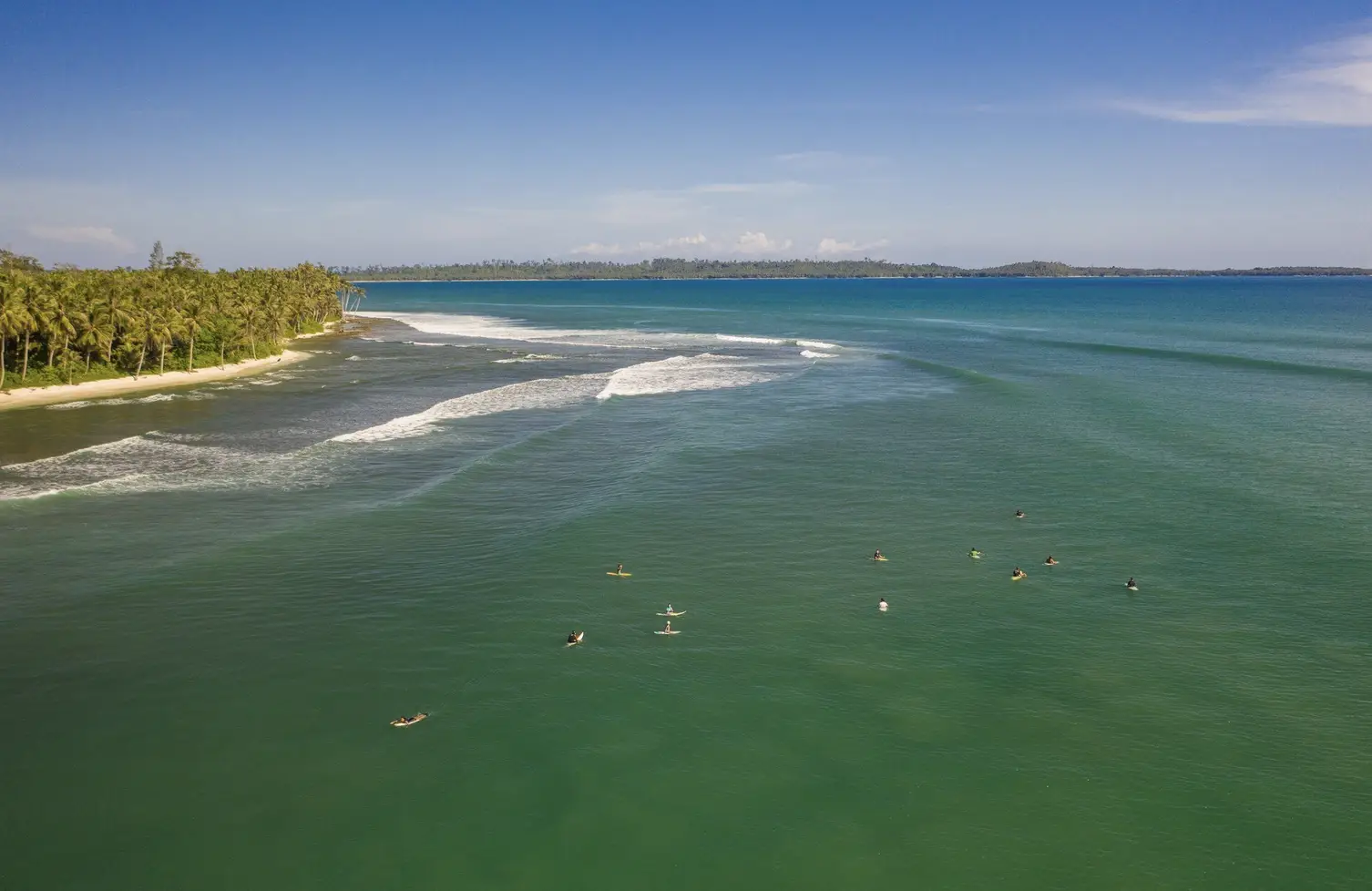 Surfers paddling in turquoise ocean near palm-lined beach under clear blue sky