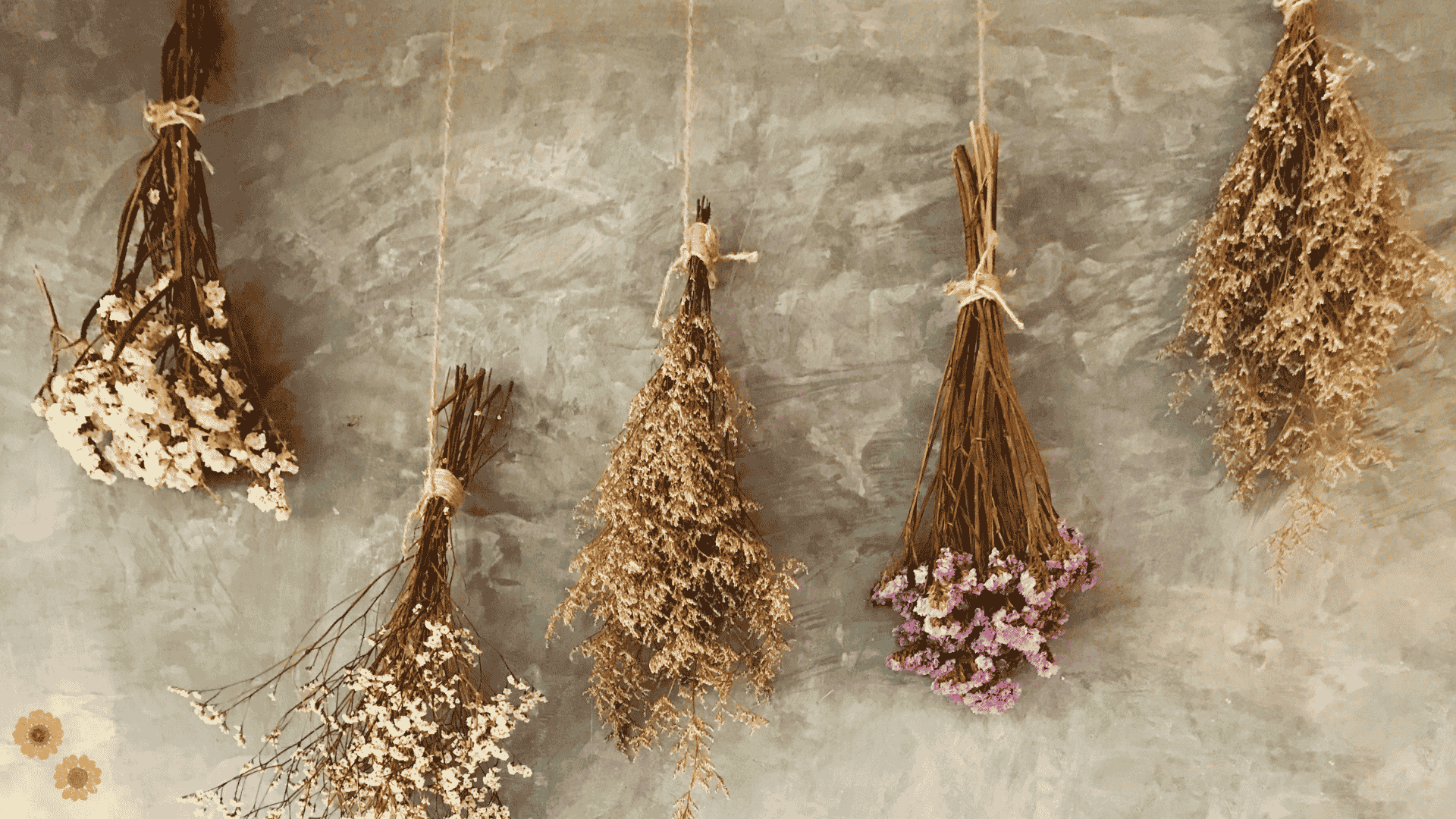air-drying-to-preserve-flowers