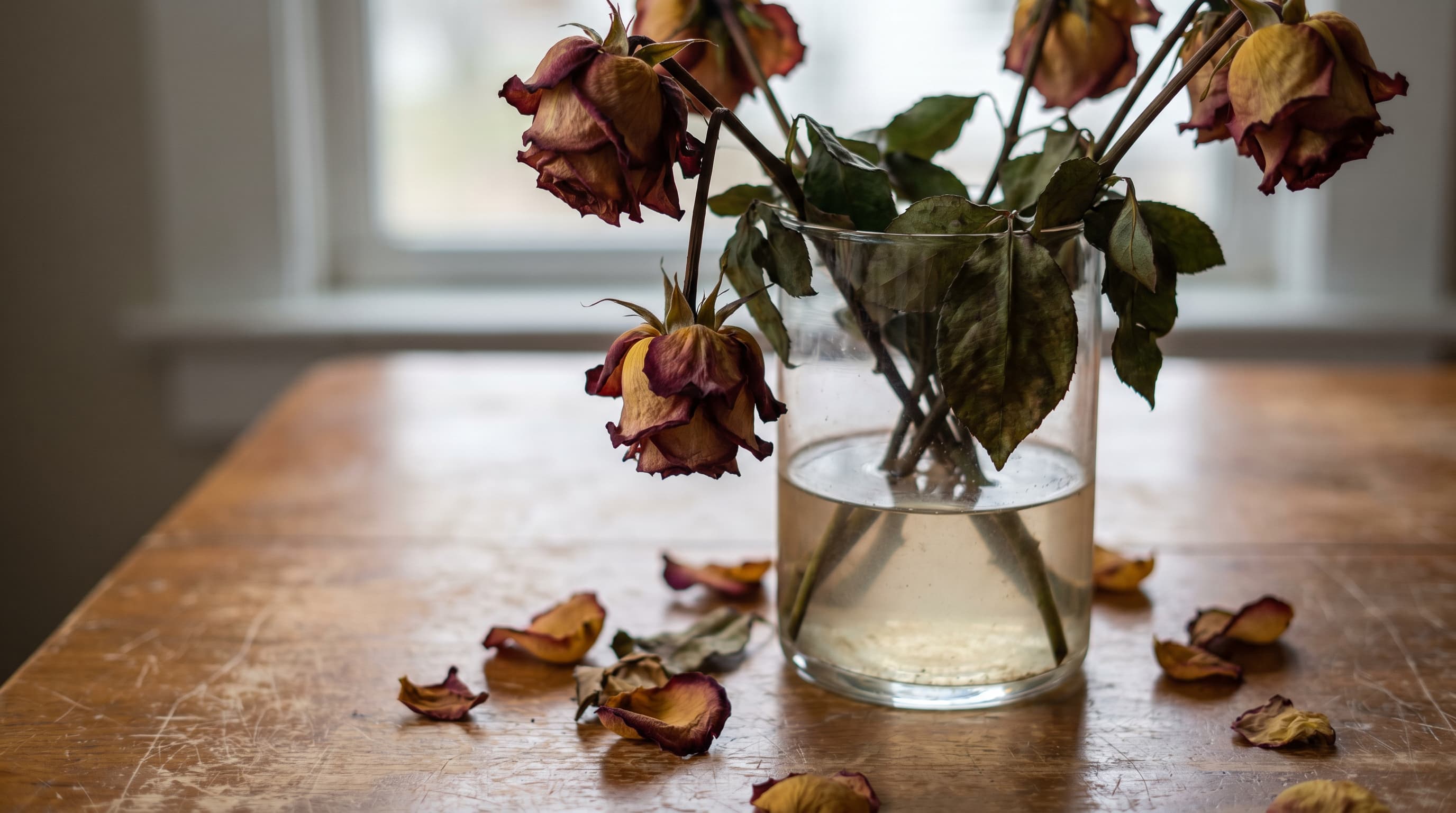 Wilted roses drooping in a glass vase on a wooden table, with fallen petals, cloudy water, and soft natural window light creating a realistic fading flower scene.