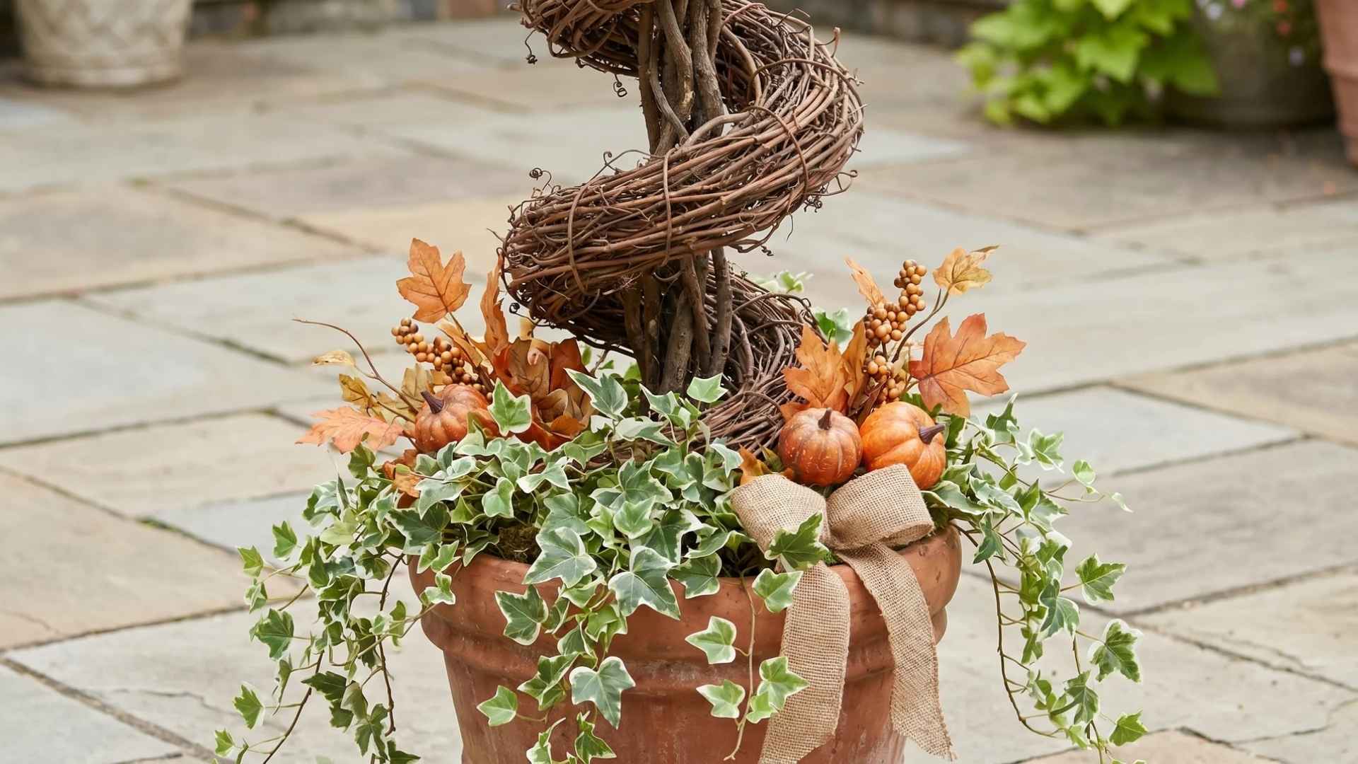 grapevine-topiary-in-a-planter.jpeg