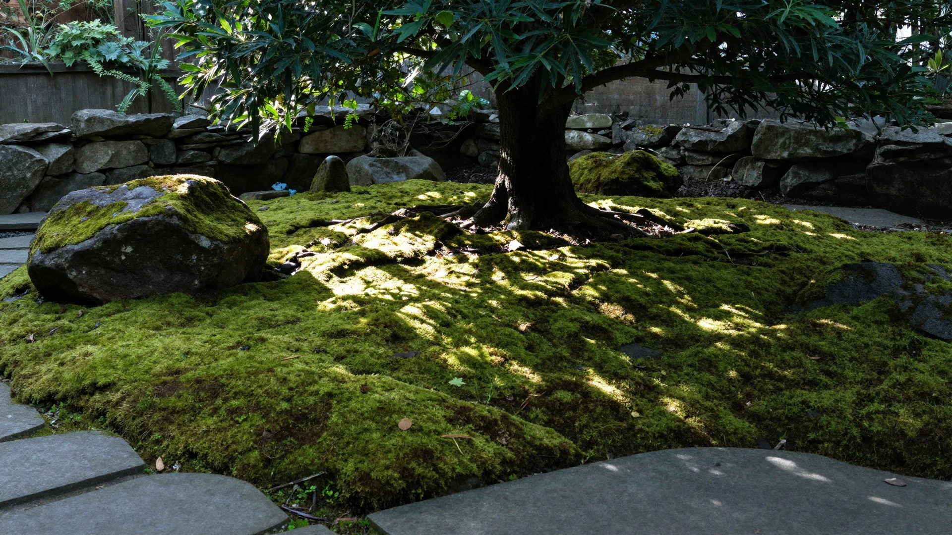 A lush green moss garden featuring a small tree with wide branches, large moss-covered boulders, and a stone path.