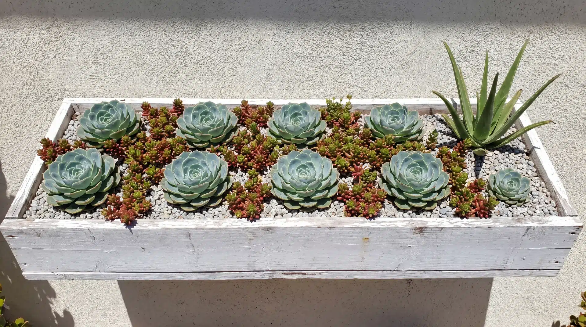 succulent-flower-boxes