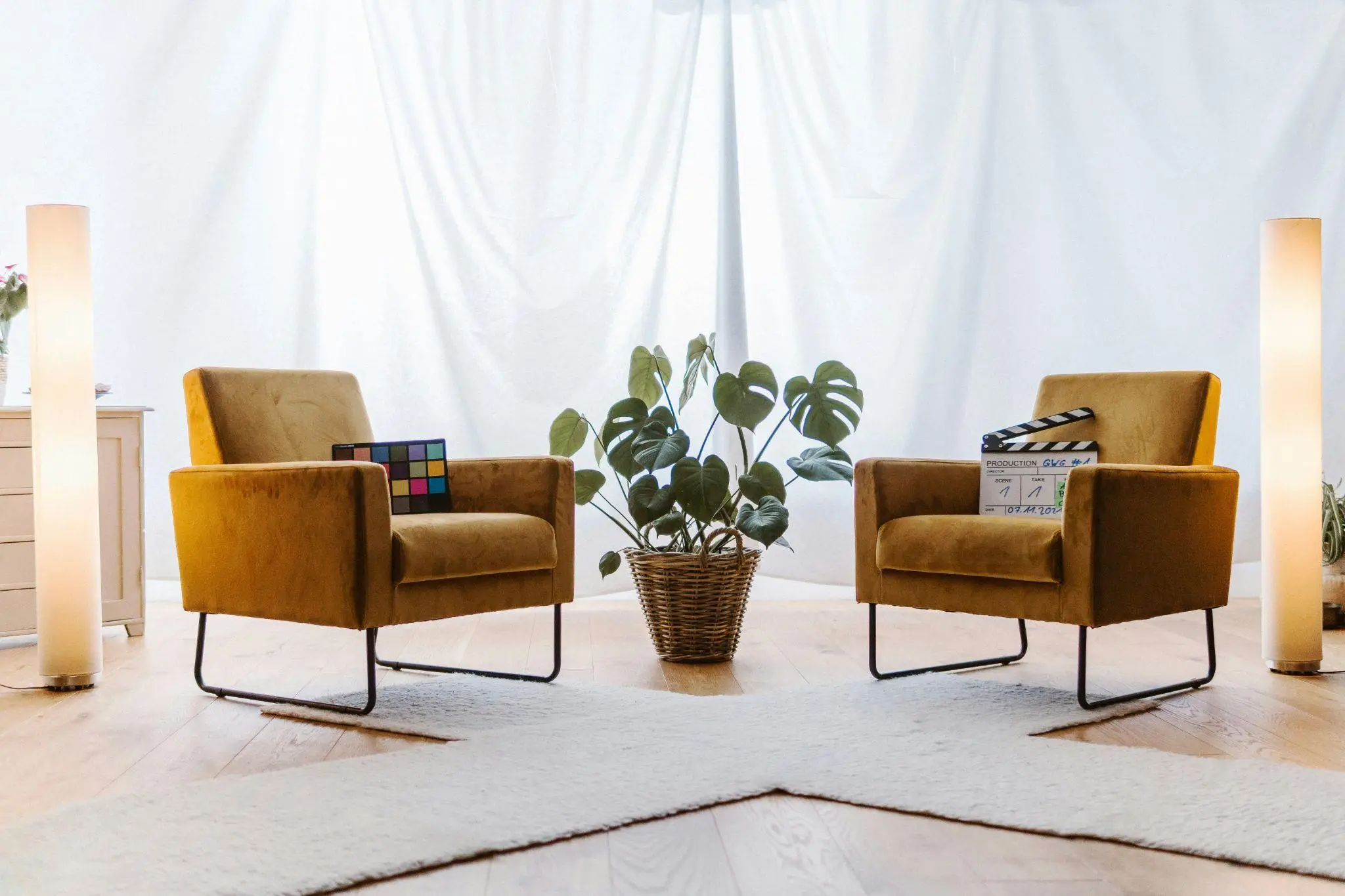 Two mustard armchairs with film clapperboards in bright room with houseplant and soft lighting