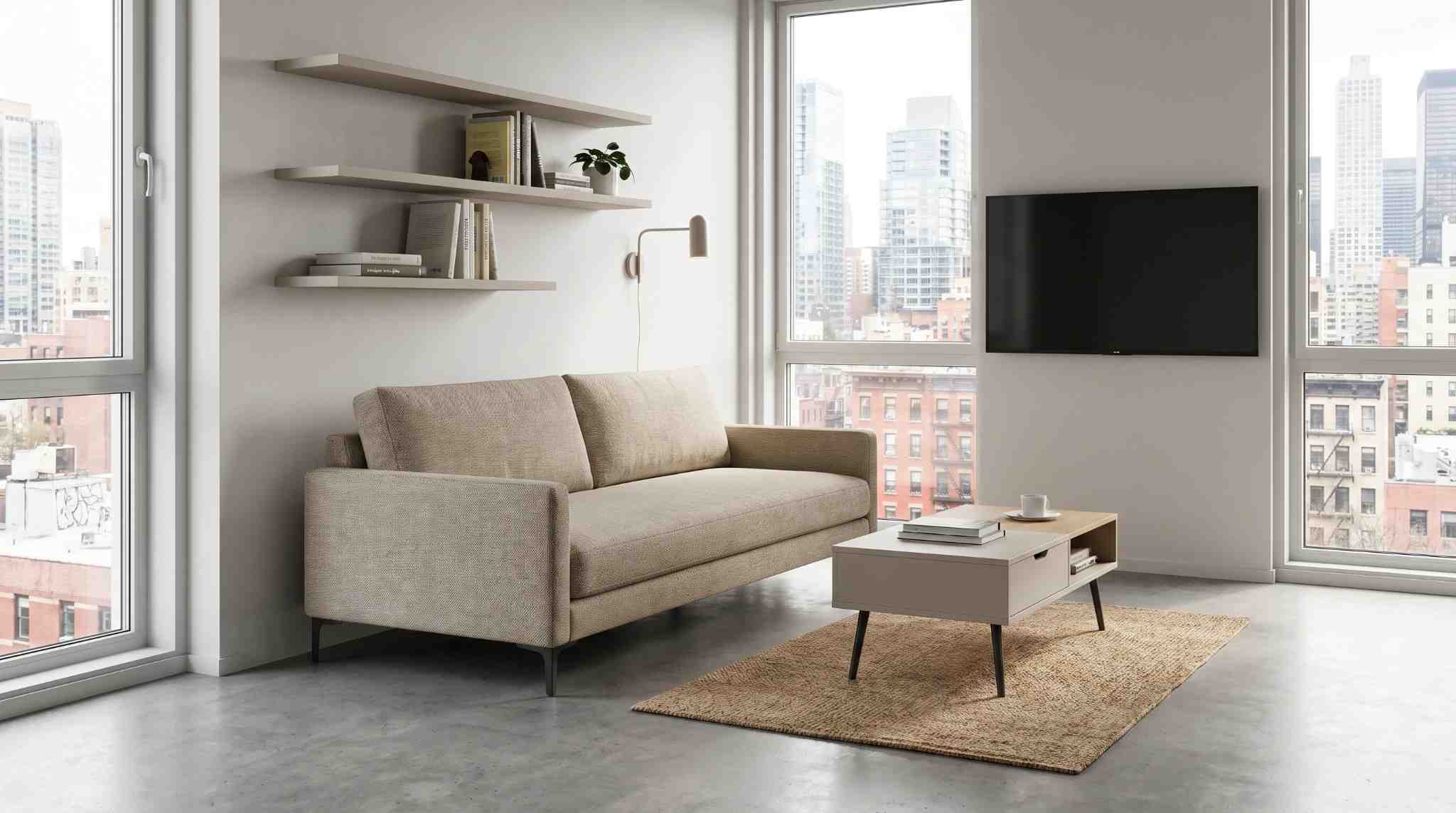 Apartment sofa in small modern living room with compact space-saving design.