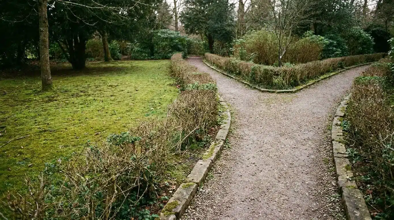 Gravel path splitting into two in a lush green garden with trimmed hedges
