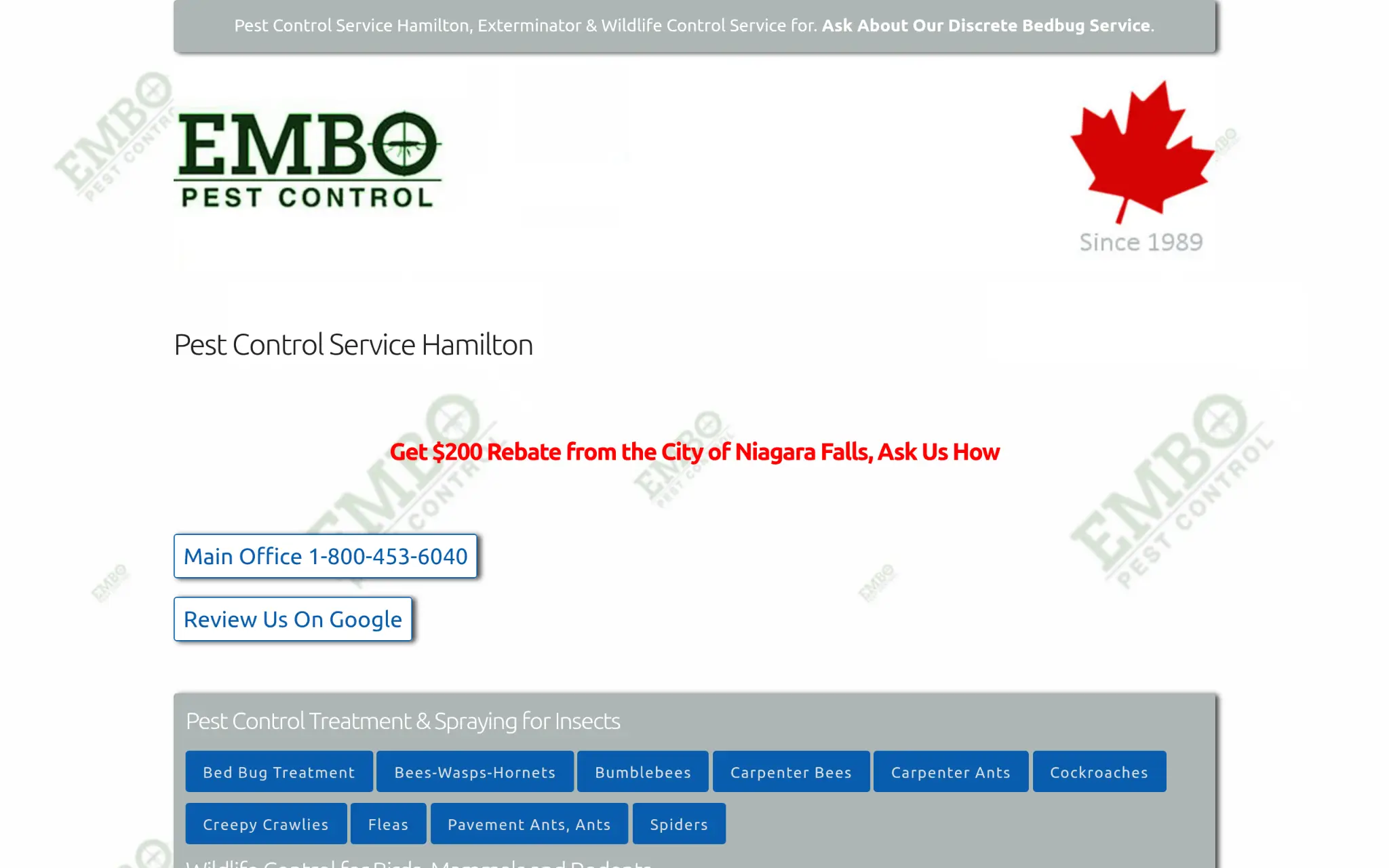 Pest control service website with contact buttons and pest treatment options in blue boxes