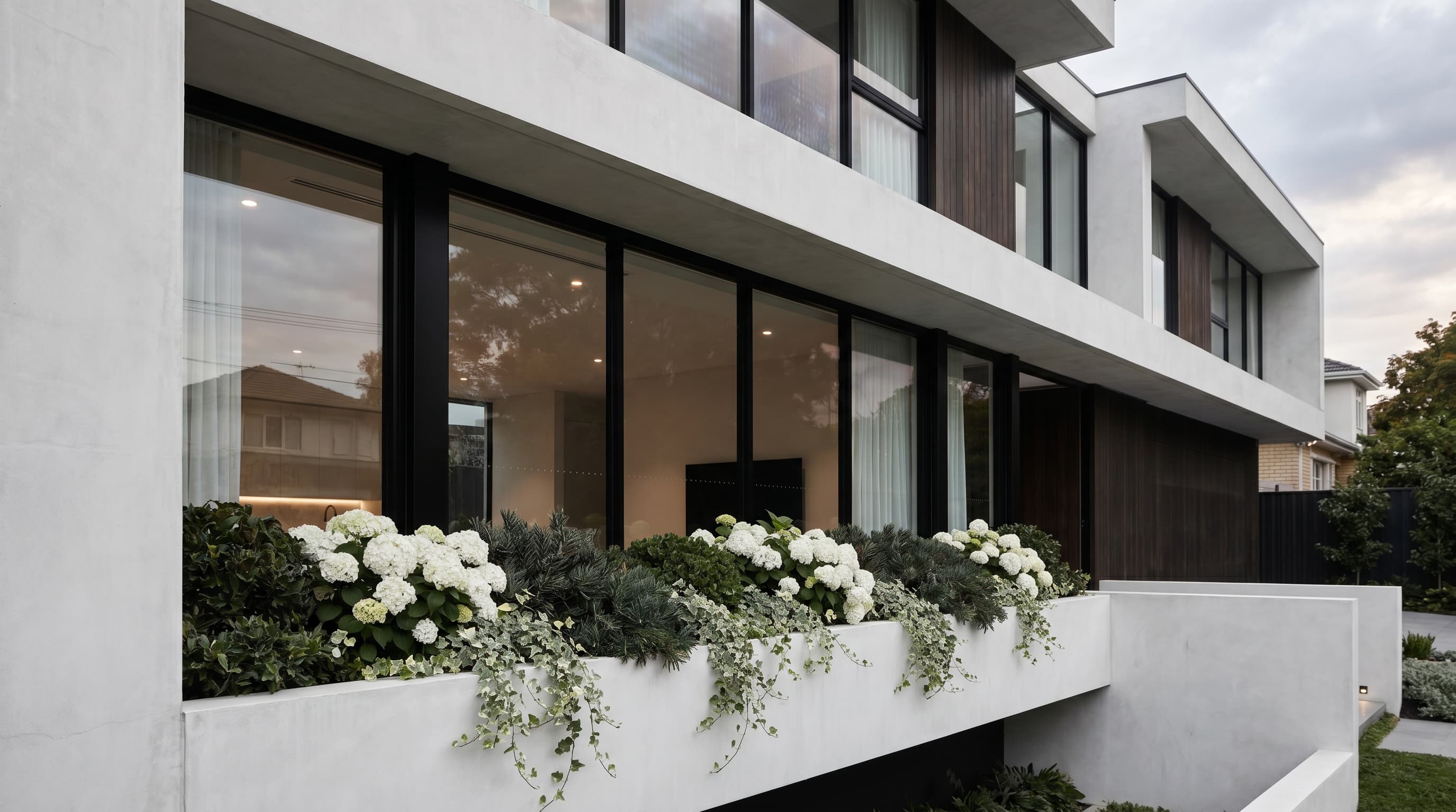 Modern monochrome elegant window box with white hydrangeas, green plants, and silvery trailing foliage.