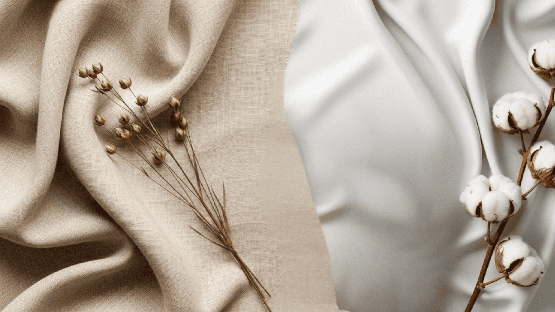 Graphic featuring dried flax stalks and cotton bolls, highlighting key differences like softness, breathability, and durability.