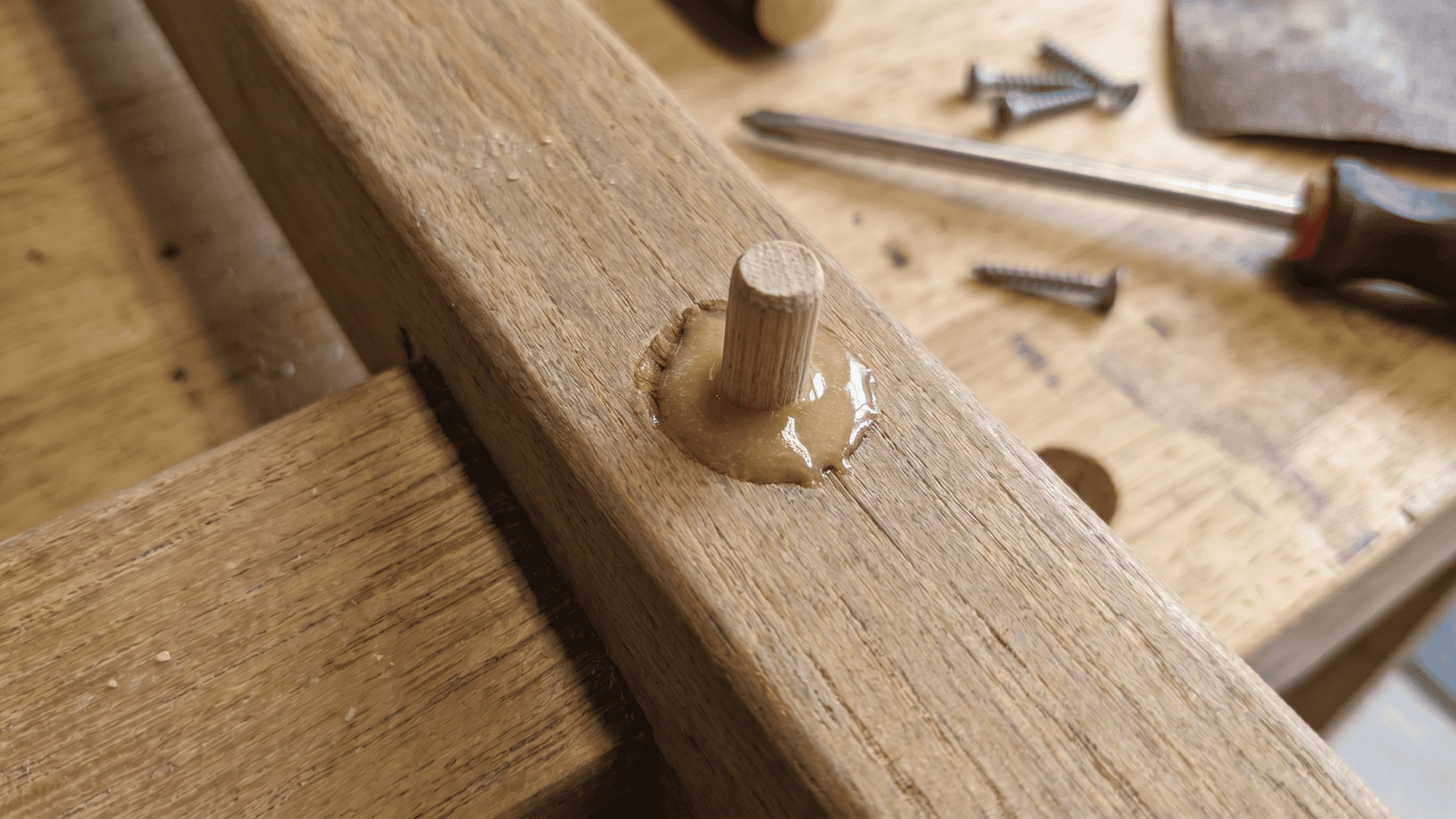Wooden dowel inserted into a stripped screw hole in a chair frame during repair