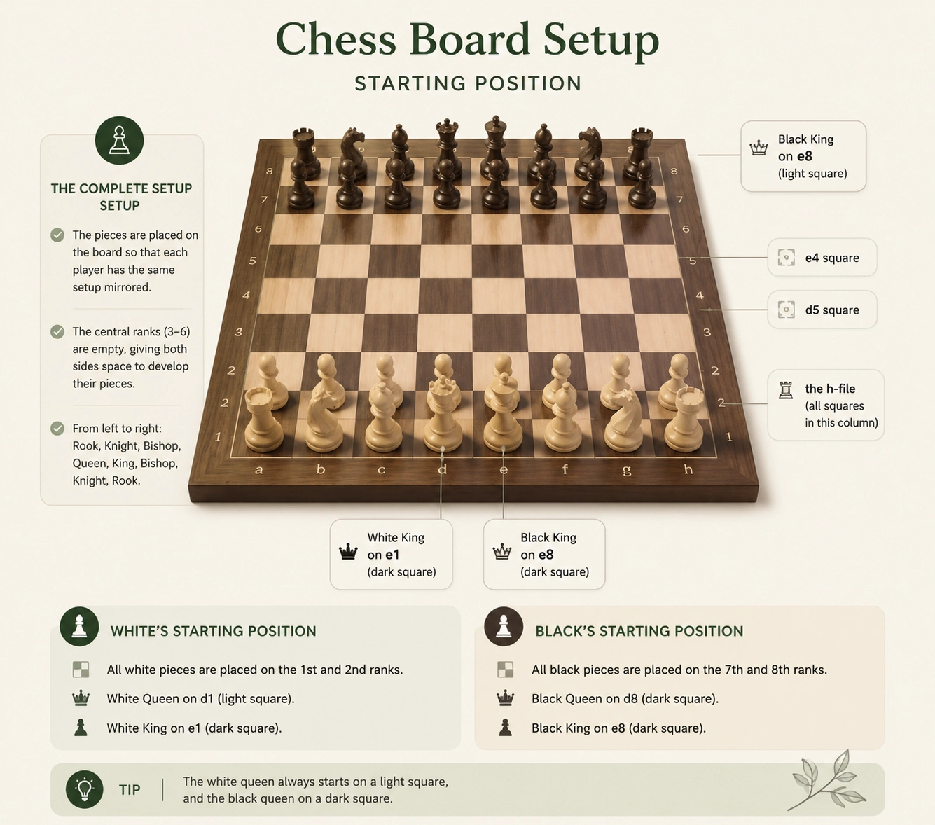 Infographic showing full chess board setup starting position with labeled pieces, ranks, and files
