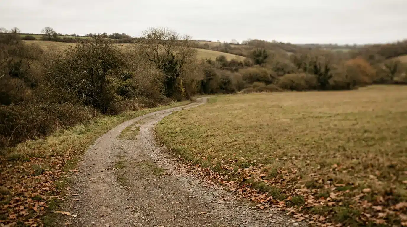 Dirt path winding through open countryside with bare trees and autumn leaves