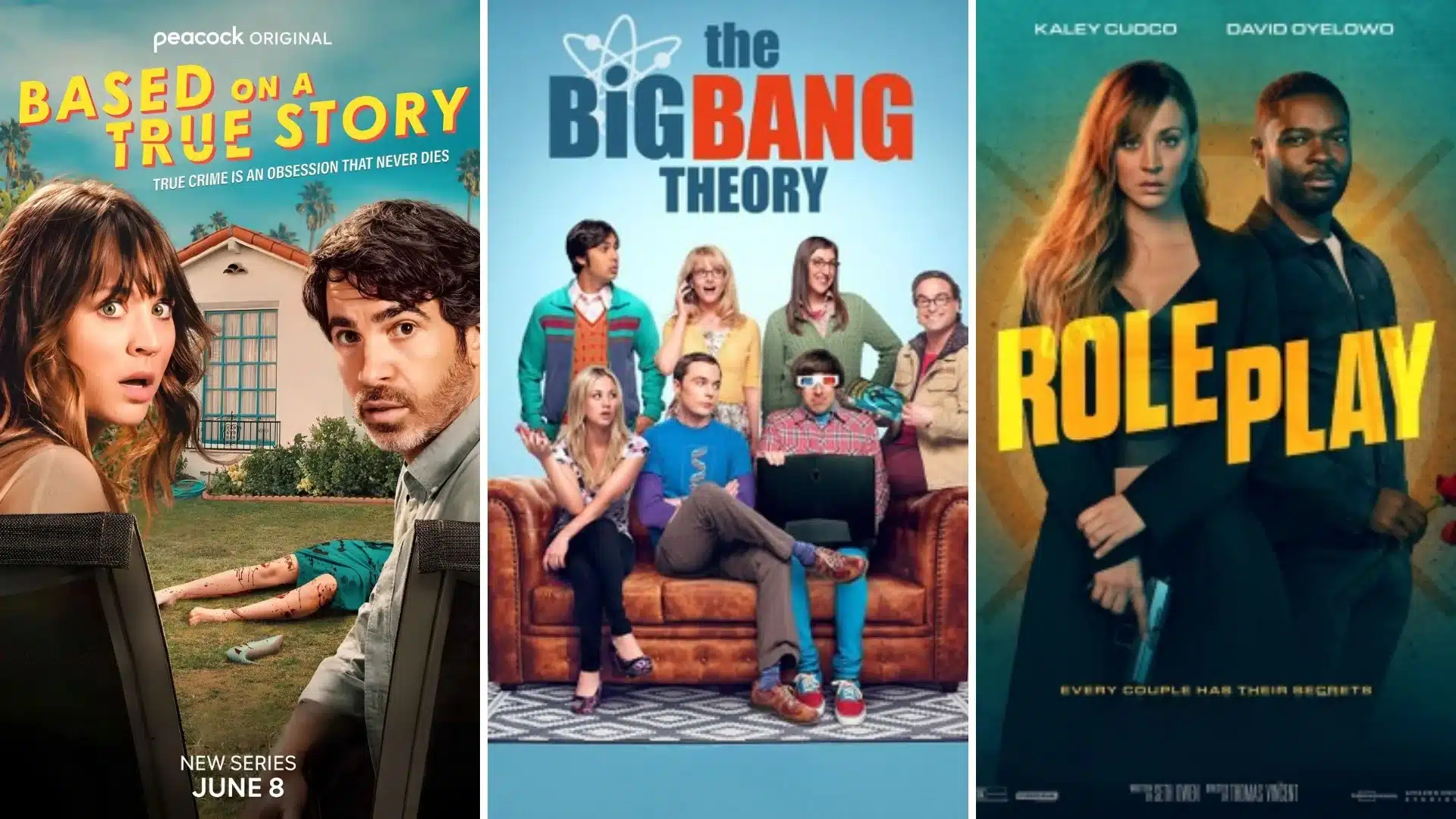 Posters of Based on a true story, The Big Bang theory, role play