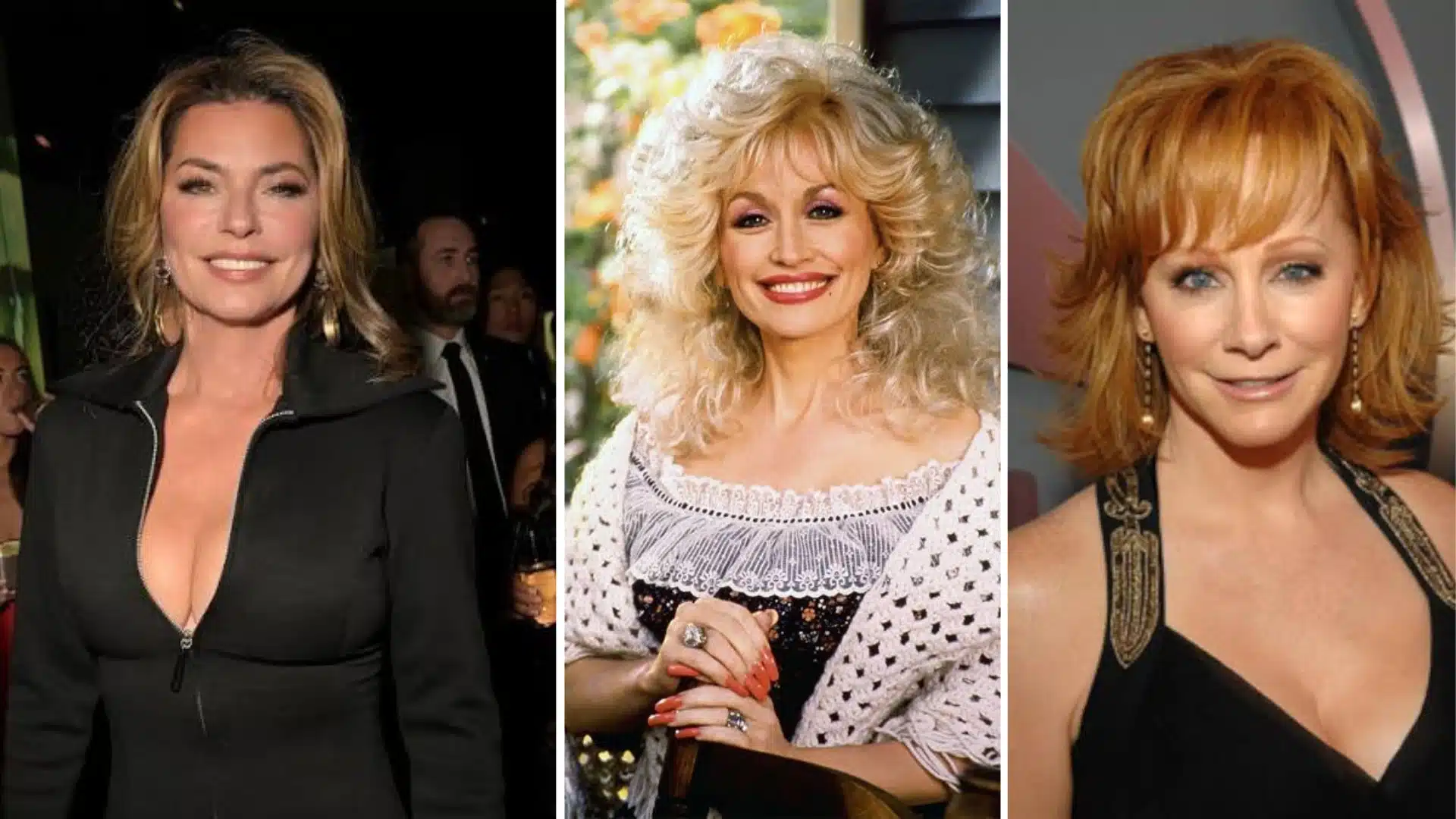 Shania Twain compared with other famous singers based on estimated net worth and music success.