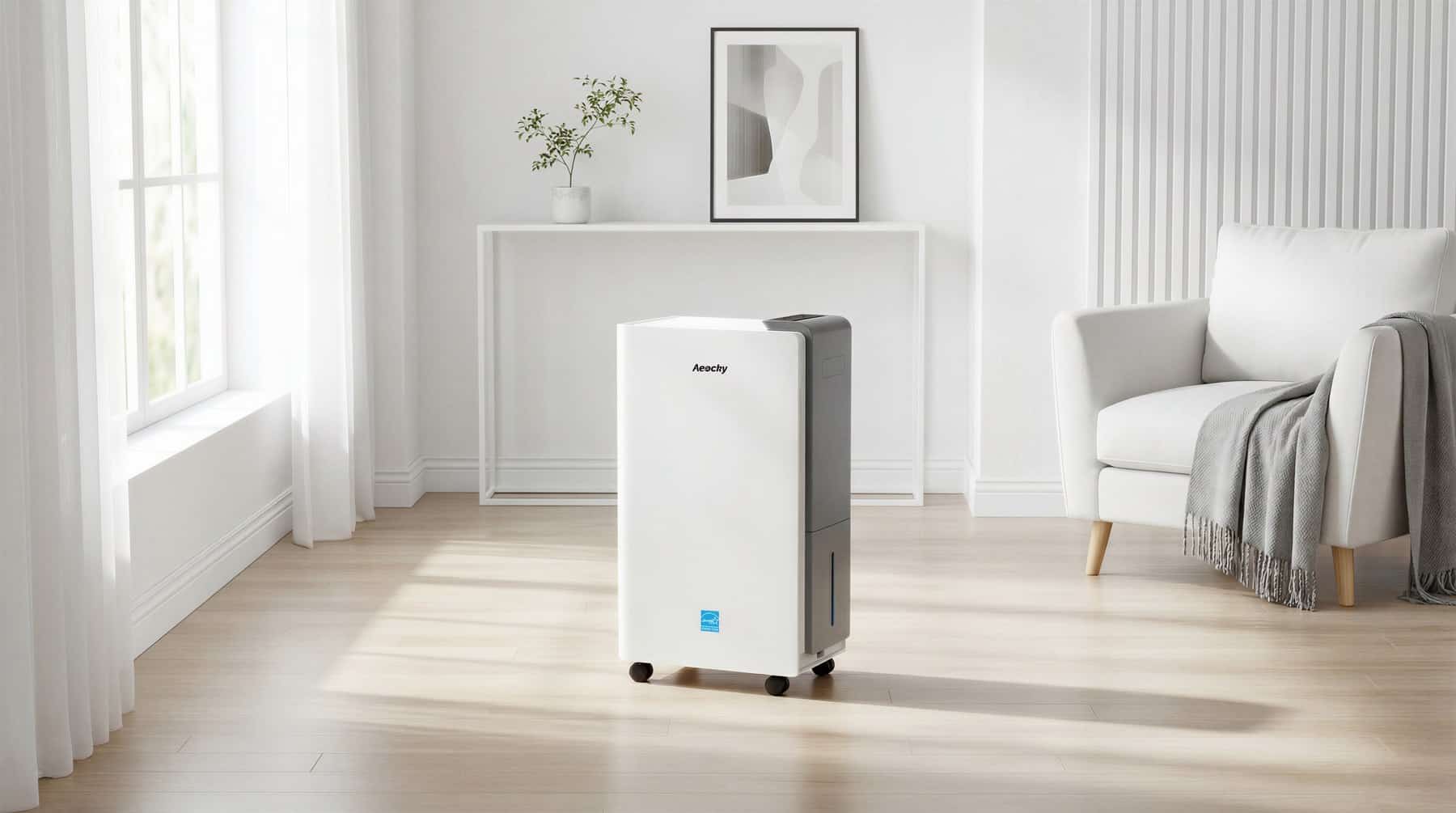 What Basements and Laundry Rooms Really Need From a Dehumidifier