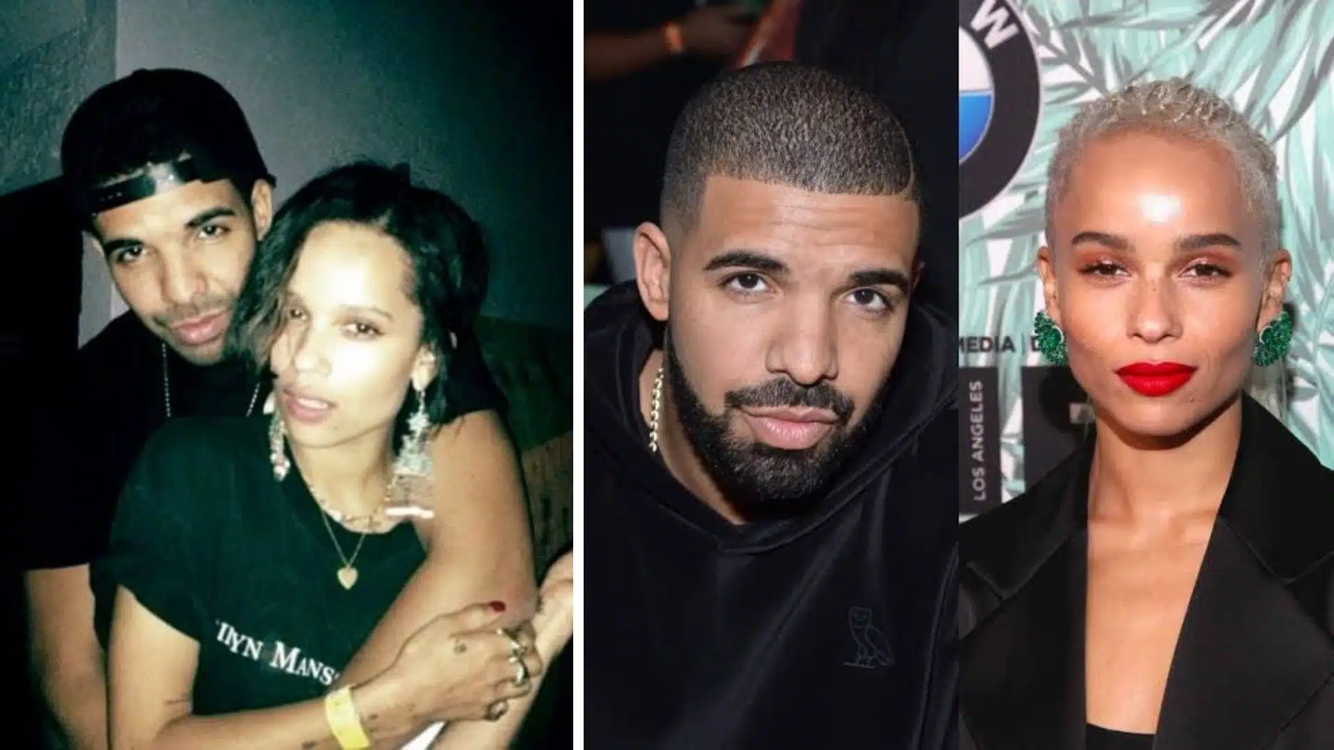Zoë Kravitz and Drake together during the period they were romantically linked.