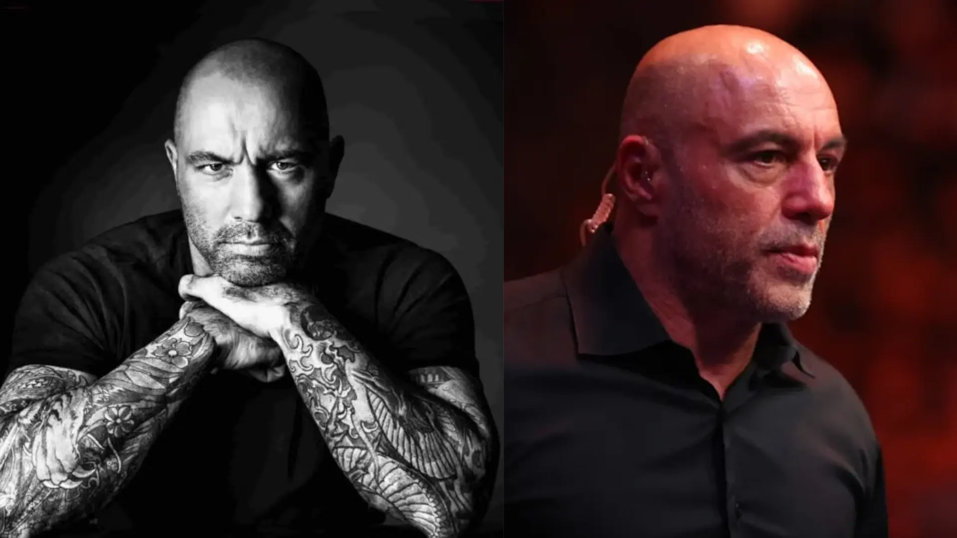 Side-by-side images of Joe Rogan showing his tattooed arms in a black-and-white portrait and attending a UFC event.