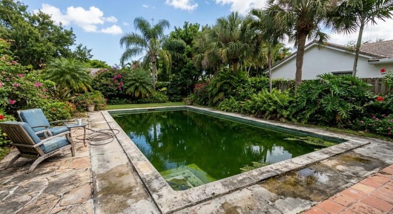 How to Clear a Green Pool