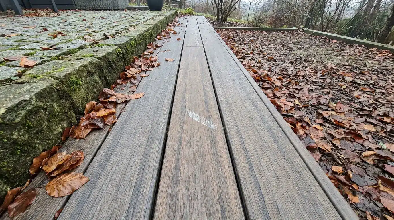 Wooden boardwalk beside moss-covered stone path with fallen autumn leaves